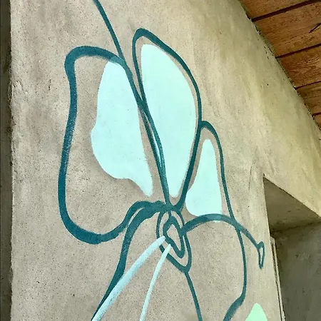 Casa Artizanilor Rusi Dom wakacyjny Jurilovca
