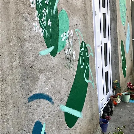 Casa Artizanilor Rusi * Jurilovca