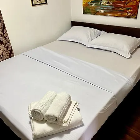 Dom wakacyjny Casa Artizanilor Rusi *